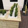 Box Hedging Image 3