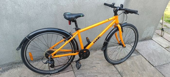 Frog Bike 69