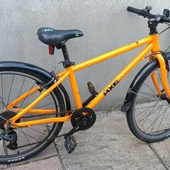 Frog Bike 69