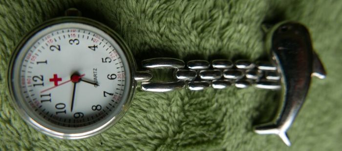 Nurse Fob Watch, Pocket Watch Dolphin Brooch Hanging Watch Nurse Watch