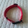 Dog Collar Image 3