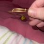bracelet Image 3