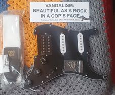 Vandalism Strat loaded pickguard kit