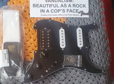 Vandalism Strat loaded pickguard kit