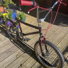 Raleigh Burner