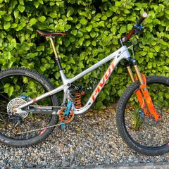 Pivot Firebird 2024