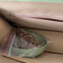 Handbag Green Patent Image 6