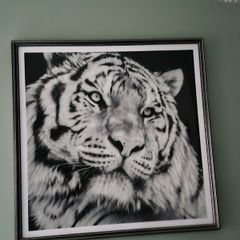 Large Tiger Picture