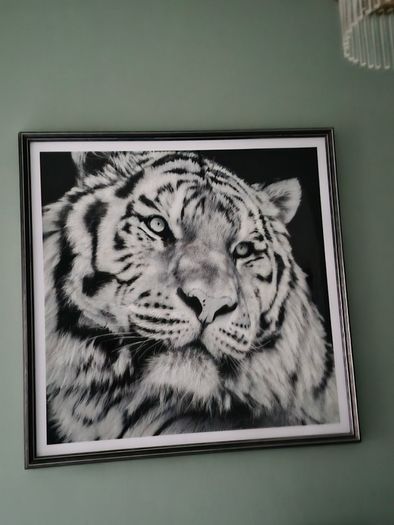Large Tiger Picture