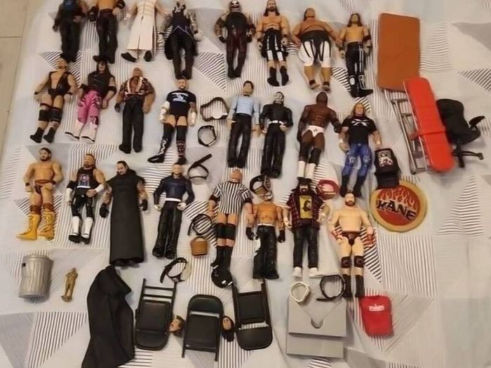 wwe action figures and accessories