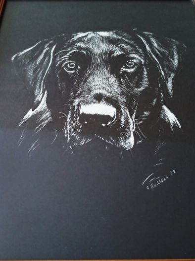 Black Labrador Retriever  R. Russell dog art print in a wooden gold glazed frame 1979 size 23x28cm