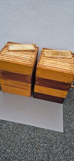 4 Beehives & Bees with ALL equipment
