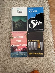 English novels for school