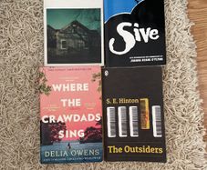 English novels for school