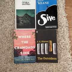 English novels for school