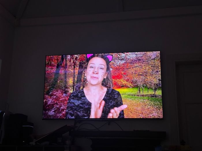 Samsung S95B 65" 4k Quantum HDR OLED Smart TV