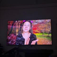 Samsung S95B 65" 4k Quantum HDR OLED Smart TV