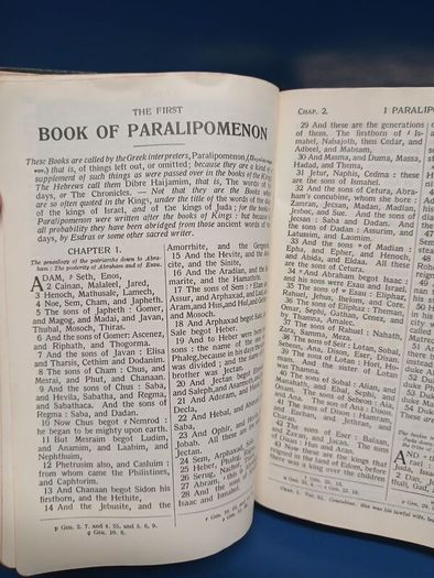 Vintage Douay Bible