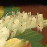 Large Vintage Hand Painted Wooden Box Image 6