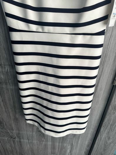 BNWT Zara Dress