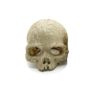Reptile Nova Terrarium Ornament RN0557A-H Image 2
