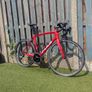 Fuji Carbon Road Bike Image 2
