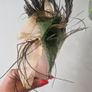 fascinator Image 6