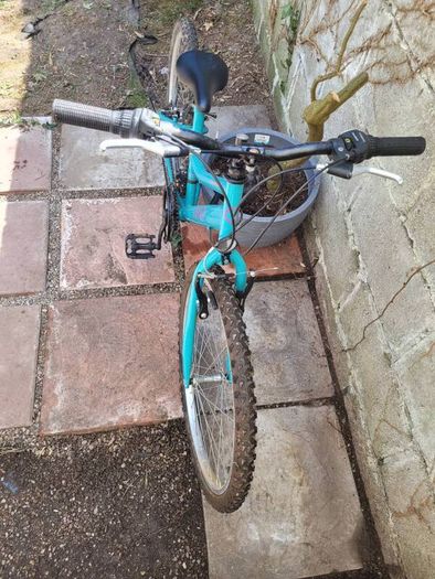 Girls Orbital Bike