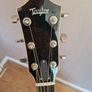 Taylor 818ce Electro Acoustic Image 2