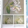 Pastels painting book Image 9