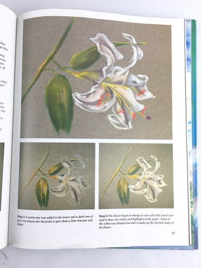 Pastels painting book