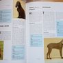 BN Encyclopedia of the Dog Image 4