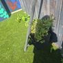 skate grind rail Image 3