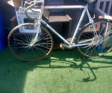 raleigh road bike