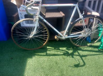 raleigh road bike