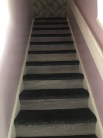 Carpet