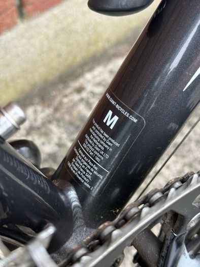 Giant Road Bike