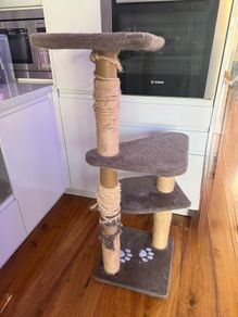 cat tree