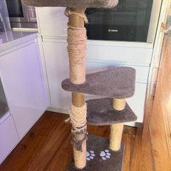 cat tree