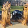 Pair Of Vintage Coopercraft Yorkshire Terrier Image 2