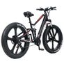 Randride Yx90m Electric Bike Image 4