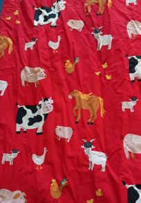 bed sheet single