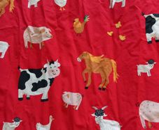 bed sheet single