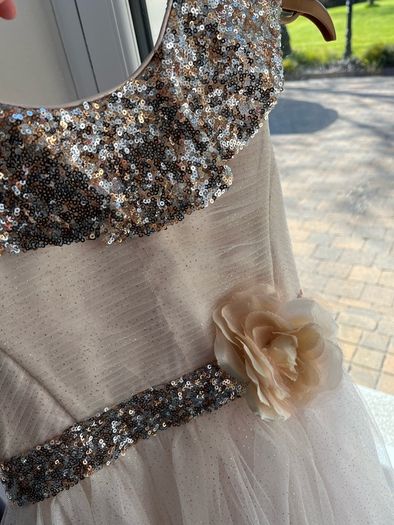 Monsoon Blush Dress