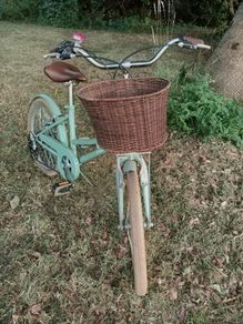 Mortello Button Girl's Bike