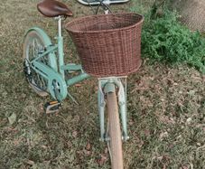 Mortello Button Girl's Bike