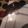 wild goose picture Image 2