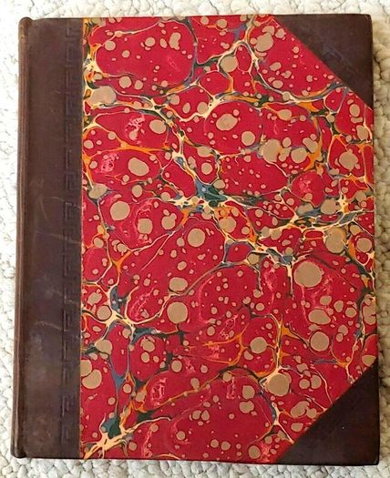 Medical dissertation, Wencker, Augustus. Observatinem Rariorem de Virgine, 1735