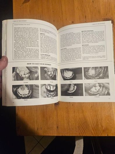 A Passion For Donkeys. By Dr Elizabeth D. Sevendsen. Large Volume Paperback In Good Condition.  See Photos For Same.
