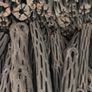 Pieces Cholla Cactus Wood 6"/Chinchilla Chews, shrimps, fishtank Image 9